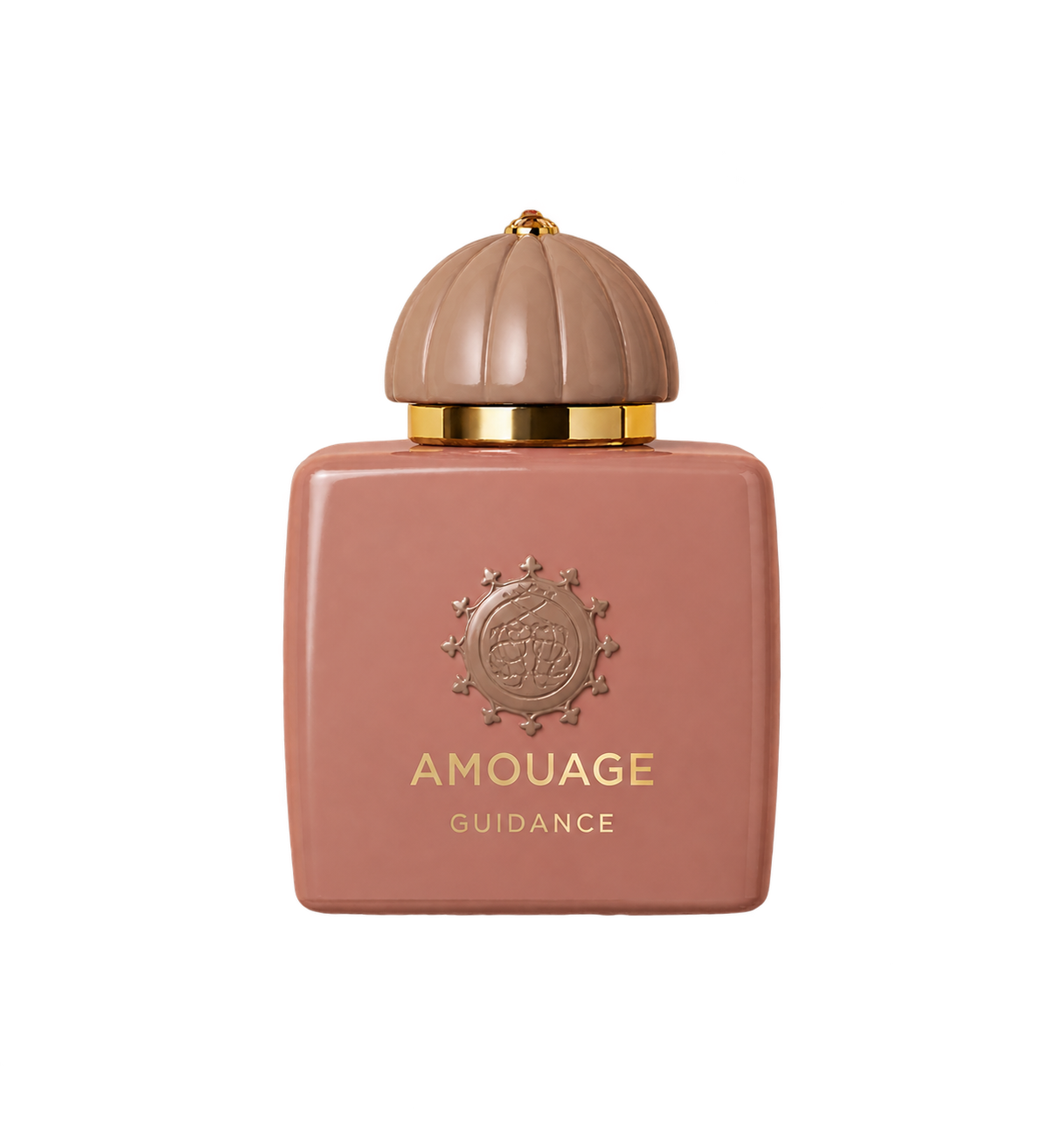 AMOUAGE Guidance