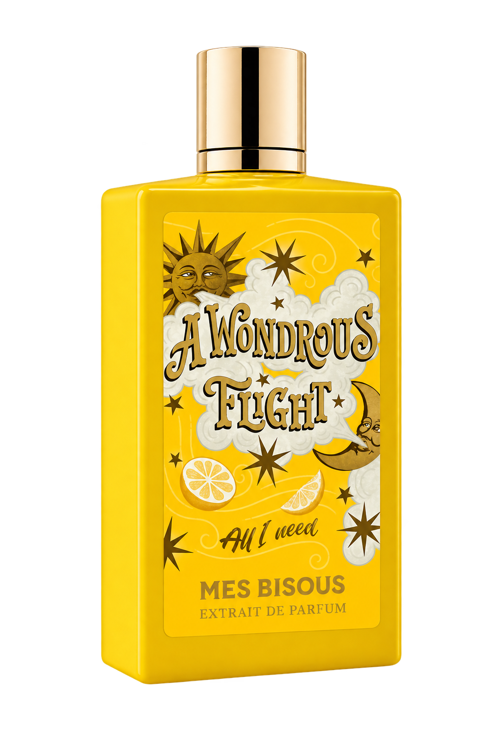 MES BISOUS A Wondrous Flight