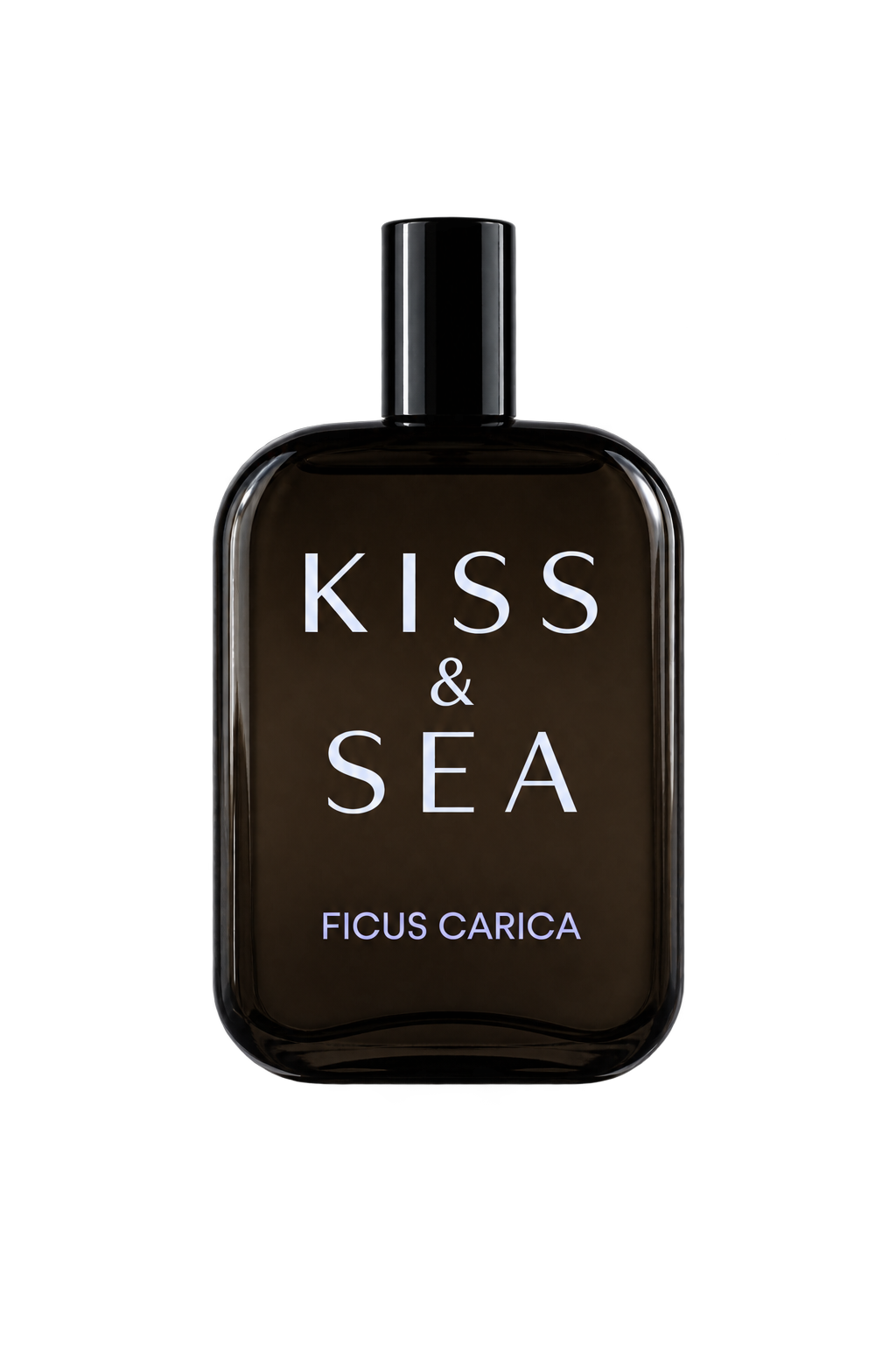 SAMAM Kiss & Sea Ficus Carica